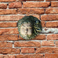 Piccolo Eolo, scultura in ceramica dipinta