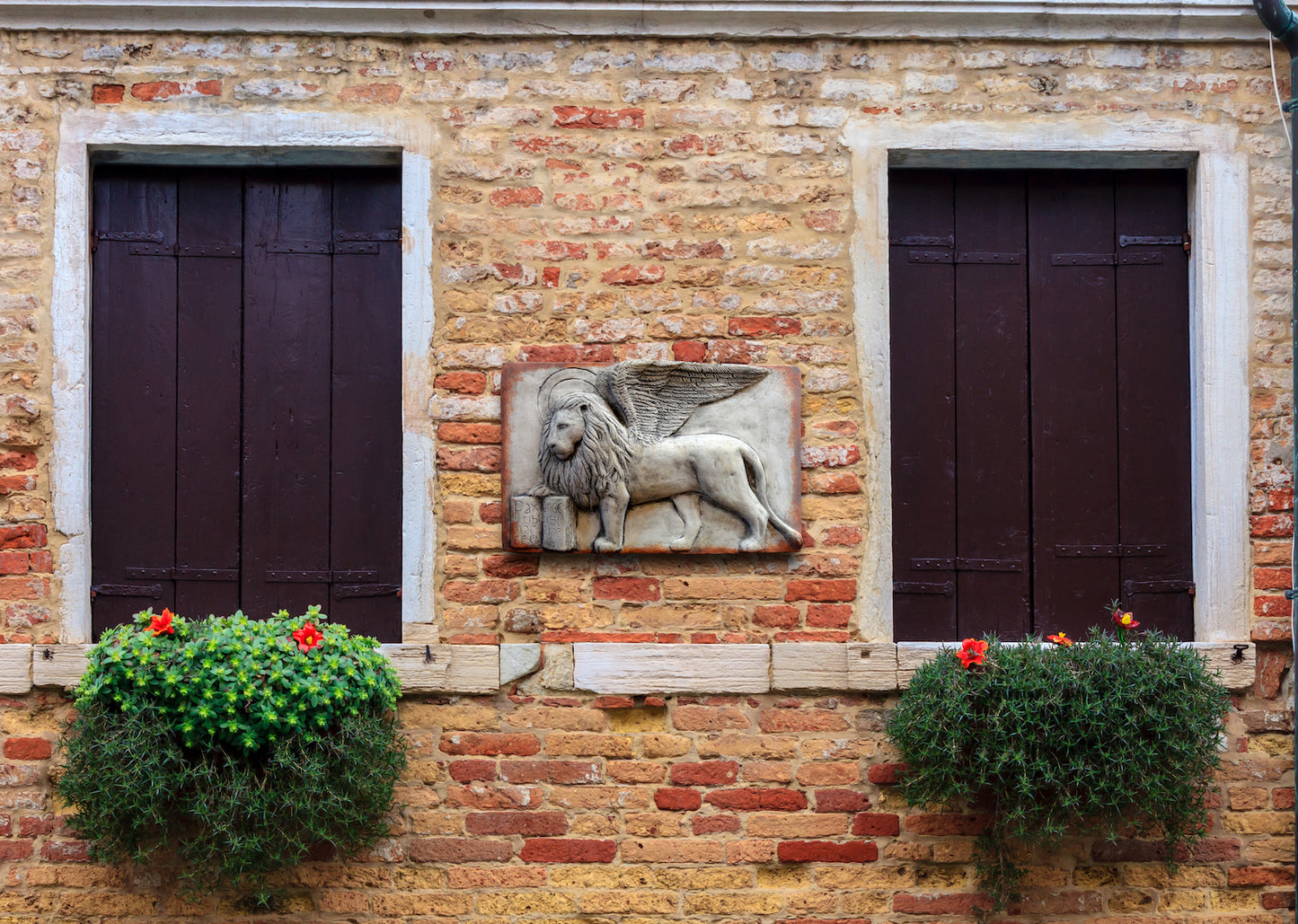 Il Leone di San Marco